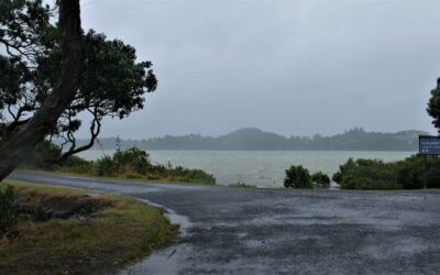 Coromandel