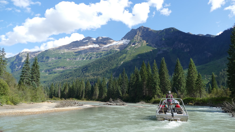 Auf Fluss-Safari